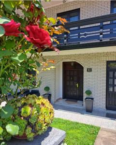 Vila Jevtić studio 1