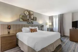 Windmill Suites Surprise - Phoenix, Ascend Hotel Collection - El Mirage