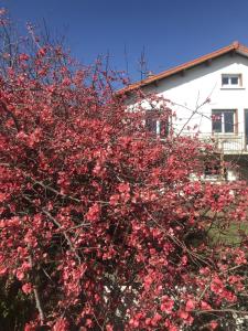 Studio neuf dans maison avec vue sur la chaine des puys