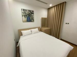 Vinhomes Metropolis Hanoi - South Land