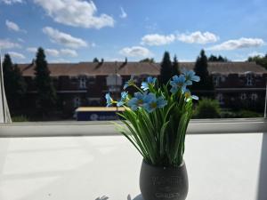 Sejours chez l'habitant Chambre 2, chambre de bonne : photos des chambres