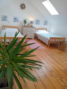 The Old Ship Holiday Apartment