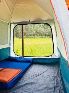 Trippr Chikkamagaluru