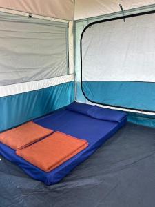 Trippr Chikkamagaluru