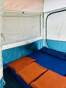 Trippr Chikkamagaluru