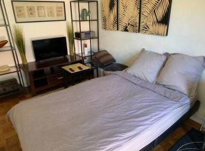 Appartements Studio Cozy proche plages, stade, parc chanot, centre, vieux port : photos des chambres