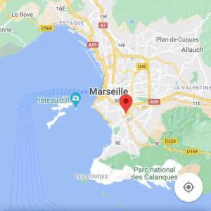Appartements Studio Cozy proche plages, stade, parc chanot, centre, vieux port : photos des chambres