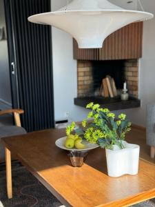 Apartment Rovaniemi Center Penthouse