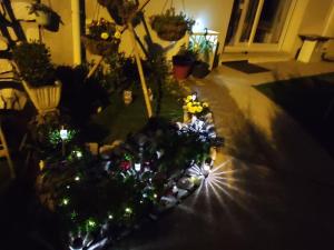 Les Conviviales de Seine-et-Marne