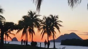 TI OASIS Margarita Studio Pierre et Vacances piscine et accès plage - Bellevue