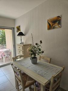 Appartements Studio avec terrasse 2 personnes : photos des chambres