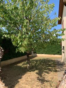 Appartements Studio equipe Le Chasseland : photos des chambres