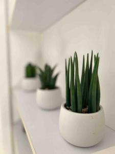 Appartement cosy proche Paris