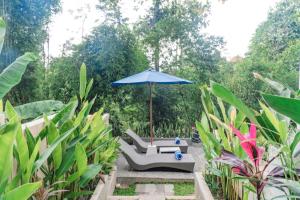 Aris House Private Pool Villa