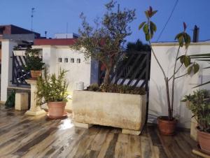 Helianthus Rooms