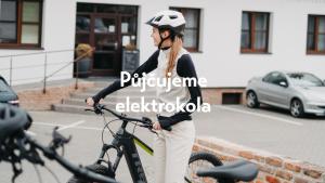 Amenity Penzion Horni Vestonice