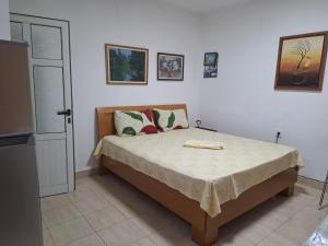 Apartament Rinia in Pogradec