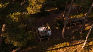 Hotels Domaine De Manville : photos des chambres