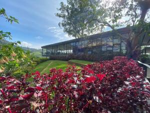 Eisya Homestay Emerald Avenue Brinchang
