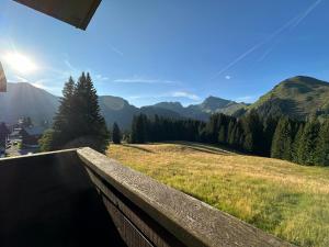 Appartements Studio au coeur du Praz-de-Lys - Les Pralyssimes : photos des chambres
