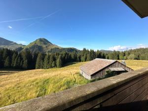 Appartements Studio au coeur du Praz-de-Lys - Les Pralyssimes : photos des chambres