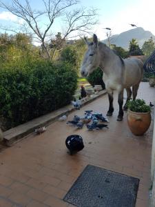 LE PAILLER 2P et 3 enfants sous le tipi