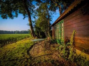 Doevelsteeg Ommen - Daarle