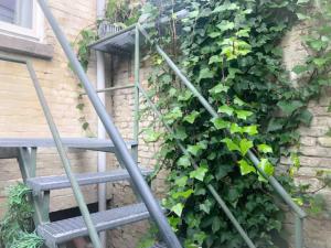 Chère Anna City Center New Top location