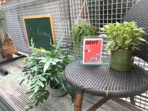 Chère Anna City Center New Top location