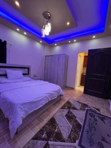 الحى المتميز