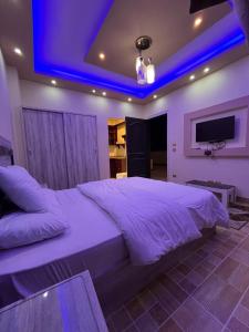 الحى المتميز