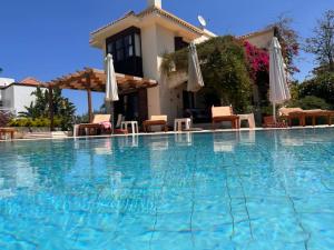 Cyprus Harbour View Villa