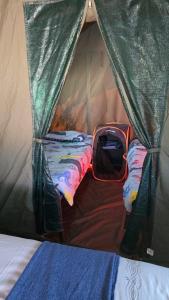 Riverbend Camp - Panache Family Tent with Private Ablution