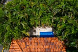 MonteMar Beach Condo At Playa hermosa