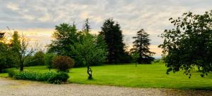 Maisons de vacances Le Clos des Collieres : photos des chambres