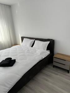 Dinu Rent Apartments