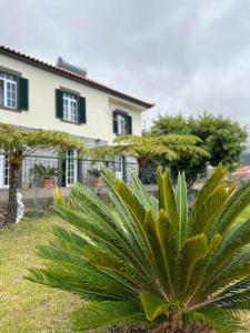 Guest House Santinhos - 4hvězdičkové hotely ve městě Estreito da Calheta
