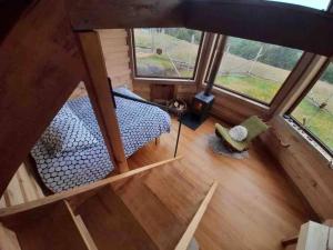 Chepu - Lodge Chimango Caracara