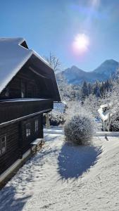 Apartments in Oberaichwald - Kärnten 41151