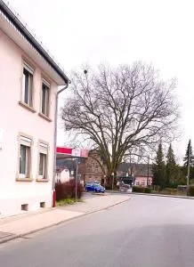 Vinaring Homestay - 巴特索伯恩海姆