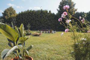 Garden View Apartment