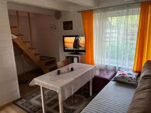 RYTO GARSAI - lavysas