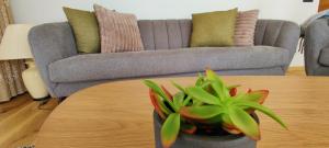 Rannaäärne modernne korter uues majas