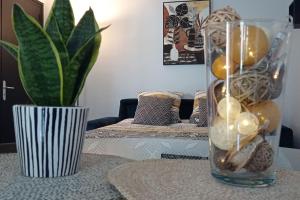 Appartements Le petit chez soi : photos des chambres