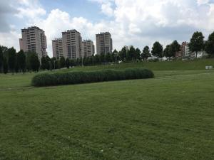 Nice flat overlooking the park