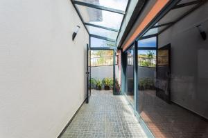 Dona Maria - Tronco da Serra