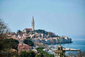 Rooms and Apartments Dobravac