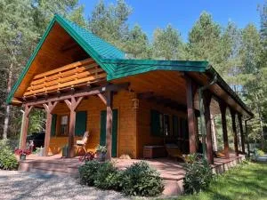 Domek Zielona Sowa - Jałówka