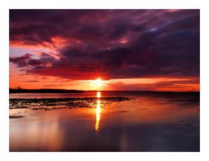 Apartamenty i Domki Osińscy