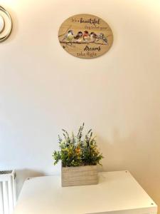 Luxurious Flat In Central London